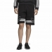 Спортивные мужские шорты Adidas Outline Чёрный