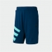 Men's Sports Shorts Adidas Sportive Nineties Blue