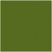 Kort Iris Militærgrønn 50 x 65 cm