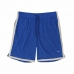Pantaloni Corti Sportivi da Uomo Nike Slam Azzurro