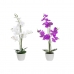 Flori Decorative DKD Home Decor 44 x 27 x 77 cm Liliachiu Alb Verde Orhidee (2 Unități)