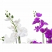 Dekorativno cvetje DKD Home Decor 44 x 27 x 77 cm Lila Bela Zelena Orhideja (2 kosov)