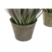 Декоративно Растение DKD Home Decor 30 x 30 x 78 cm Розов Метал Жълт PVC (2 броя)