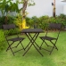 Table set with 2 chairs Aktive