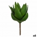 Dekor növény Aloe vera 13 x 24,5 x 14 cm Zöld Műanyag (6 egység)