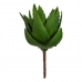 Dekoratīvs Augs Alveju 13 x 24,5 x 14 cm Zaļš Plastmasa (6 gb.)