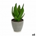 Dekorativna rastlina Aloe Vera 14 x 21 x 14 cm Siva Zelena Plastika (6 kosov)