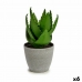 Koristekasvi Aloe vera 15 x 23,5 x 15 cm Harmaa Vihreä Muovinen (6 osaa)