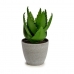 Koristekasvi Aloe vera 15 x 23,5 x 15 cm Harmaa Vihreä Muovinen (6 osaa)