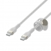 USB-C-kabel Belkin CAB011BT2MWH 2 m Hvid