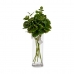 Κλαδί Φύλλα 75 cm Πράσινο Πλαστική ύλη (12 Μονάδες)