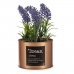 Dekorativ växt Lavendel Can Purpur Metall Koppar Grön Plast 10 x 18 x 10 cm (6 antal)