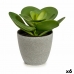 Декоративное растение 18 x 18,5 x 18 cm Серый Зеленый Пластик (6 штук)
