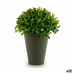 Dekorativ plante Plastik 13 x 16 x 13 cm Grøn Grå (12 enheder)