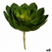 Plantă decorativă 22 x 19 x 19 cm Verde Plastic (6 Unități)