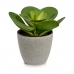Decoratieve plant 18 x 18,5 x 18 cm Grijs Groen Plastic (6 Stuks)