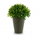 Dekorationspflanze Kunststoff 13 x 16 x 13 cm grün Grau (12 Stück)