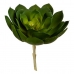 Dekorativna rastlina 22 x 19 x 19 cm Zelena Plastika (6 kosov)