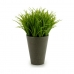Διακοσμητικό Φυτό Πλαστική ύλη 11 x 18 x 11 cm Πράσινο Γκρι (12 Μονάδες)