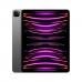 Läsplatta iPad Pro Apple MNXW3TY/A 16 GB RAM 16 GB M2 Grå 1 TB