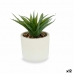 Decoratieve plant Vetplant Plastic 14 x 18 x 14 cm (12 Stuks)