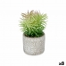 Plantă decorativă Suculent Lemn Plastic 12 x 22 x 12 cm (8 Unități)