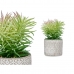 Plantă decorativă Suculent Lemn Plastic 12 x 22 x 12 cm (8 Unități)