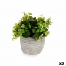 Decoratieve plant Blommor Plastic 20 x 20,5 x 20 cm (8 Stuks)