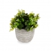Decoratieve plant Blommor Plastic 20 x 20,5 x 20 cm (8 Stuks)