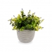 Decoratieve plant Blommor Plastic 21 x 20,6 x 21 cm (8 Stuks)