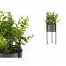 Dekorationspflanze Eukalyptusbaum Metall Kunststoff 14 x 40 x 14 cm (8 Stück)