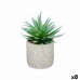 Decoratieve plant Vetplant Hout Plastic 17 x 21 x 17 cm (8 Stuks)