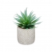 Plantă decorativă Suculent Lemn Plastic 17 x 21 x 17 cm (8 Unități)