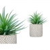 Decoratieve plant Vetplant Hout Plastic 17 x 21 x 17 cm (8 Stuks)
