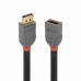 DisplayPort kábel LINDY 36495 Fekete