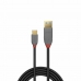 USB A - USB C kabelis LINDY 36887 Juoda 2 m