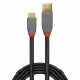 USB A - USB C kabelis LINDY 36911 Juoda Antracito