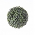 Διακοσμητικό Φυτό Boj Ball 20 x 20 x 20 cm