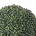 Διακοσμητικό Φυτό Boj Ball Πλαστική ύλη 30 x 30 x 30 cm