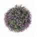 Decoratieve plant   Klot Lavendel 20 x 20 x 20 cm