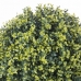 Dekoratyvinis augalas   Kamuolys Pavasaris Plastmasinis 30 x 30 x 30 cm