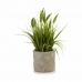 Decoratieve plant Oor (van tarwe) Plastic 12 x 30 x 12 cm (8 Stuks)