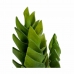 Planta Decorativa Suculenta Plástico 12 x 24 x 12 cm (6 Unidades)