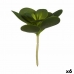 Dekorativ Plante Ark Sirkulær Plast 18 x 23 x 18 cm (6 enheter)