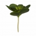 Okrasná rastlina Listy Okrúhla Plastické 18 x 23 x 18 cm (6 kusov)