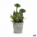 Okrasná rastlina Rozkvitnutá lúka Korok Plastické 10 x 25 x 10 cm (12 kusov)