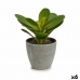 Декоративно Растение Листи Кръгъл Пластмаса 11 x 15 x 11 cm (6 броя)