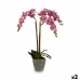 Dekor növény Orchidea Műanyag 33 x 77 x 33 cm (2 egység)