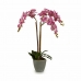 Dekorationspflanze Orchidee Kunststoff 33 x 77 x 33 cm (2 Stück)