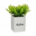 Dekorativ plante Ark Lille Plastik Cement 13 x 18 x 13 cm (6 enheder)